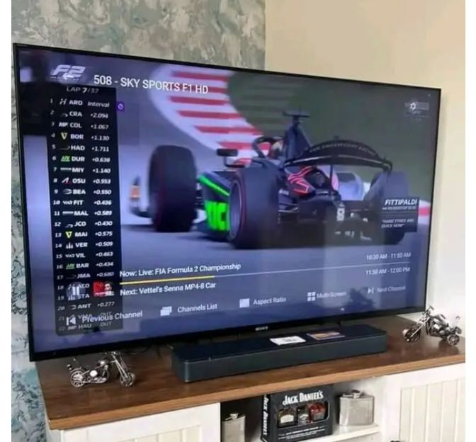Customer supplied television viewing photo 4